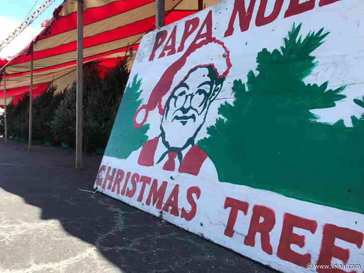 Don't throw it out: Recycle your Christmas tree with the City of Austin, Texas Disposal Systems