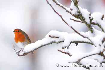 Temperatures set to drop as forecasters predict white Christmas - St Helens Star