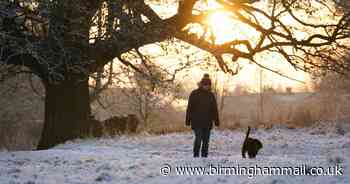 11 pretty winter walks to enjoy - from Clent and Sutton to Bromsgrove and Sandwell - Birmingham Live