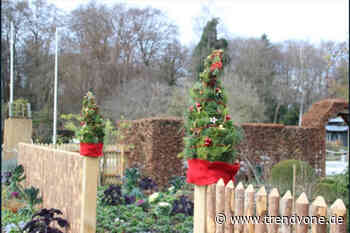 Der Botanische Garten Augsburg nach der Weihnachten - TRENDYone - das Lifestylemagazin
