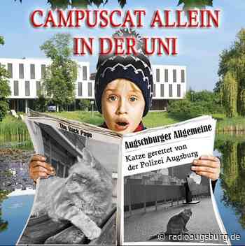 Polizei muss CampusCat abholen - Radio Augsburg