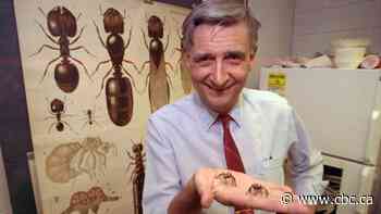 Edward O. Wilson, 2-time Pulitzer Prize-winning biologist known as 'ant man,' dead at 92