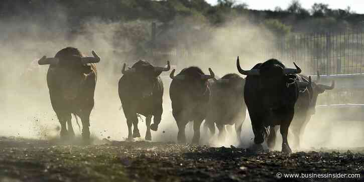 Merrill Lynch has ushered in changes for its storied 'thundering herd' of financial advisors