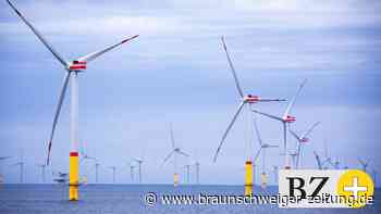 „Strom und Gas müssen für jeden bezahlbar sein“