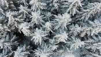 Wintertraum in Weiß: Schneelandschaft in Oregon