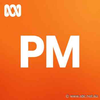 'Hypocritical': Kevin Rudd slams Scott Morrison's TikTok efforts - ABC News