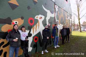 Lilse jeugdhuizen kunnen rekenen op extra subsidie (Lille) - Het Nieuwsblad