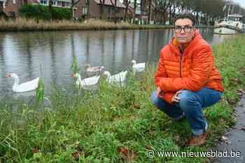 En toen waren de ganzen nog met vijf: officieel waarschuwingsbord kan dodelijke aanrijding niet voorkomen