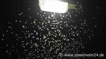 Manchem wird es in Albaching nachts zu dunkel