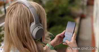 Best Apple AirPods Max alternatives for less: Sony, Bose, AirPods Pro and more     - CNET