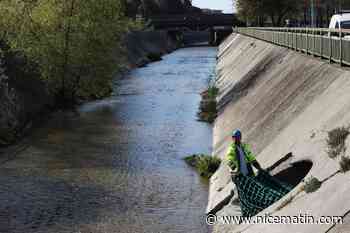 Le filet anti-déchets posé à Cagnes-sur-Mer a été retiré, échec ou réussite ?
