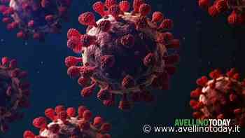 Coronavirus a Solofra, ecco gli ultimi aggiornamenti - AvellinoToday