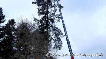 Ein Fällkran bereichert den Maschinenpark - Gmünder Tagespost