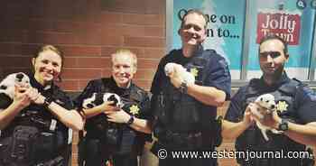 Puppies in Duffel Bag Dumped at Store on Christmas Night: Responding Police Officers Adopt Them