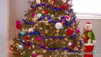 City of Edmonton tree collection program starts in January - CTV Edmonton