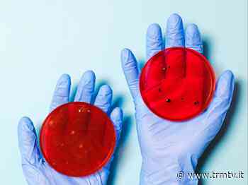 Covid 19, boom contagi sulla città di Matera, nella giornata del 27 dicembre videoconferenza istituzionale - TRM Radiotelevisione del Mezzogiorno