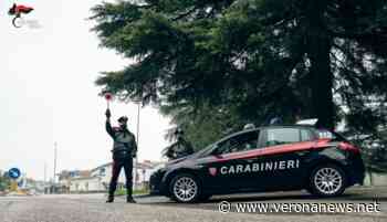 Piccolo laboratorio dello spaccio con mini-serra; arresti in quel di Garda - Verona News