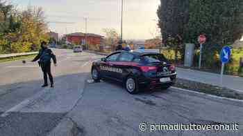 Castelnuovo del Garda, arrestato il ladro delle motoseghe - Prima Verona