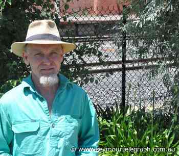 Tallarook gliders at-risk due to looming logging proposals: BEAM - Seymour Telegraph