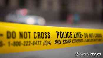 Year in review: Still too many police shootings in Canada, experts say