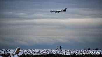 Weather, not Omicron, has been bigger disruptor of Canadian holiday travel, airlines say