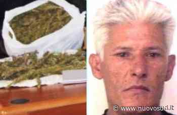 Floridia, in casa con più di un chilo di marijuana: in carcere Galota - Nuovo Sud