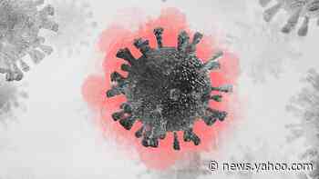 Study suggests coronavirus lingers in organs for months - Yahoo News