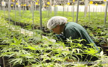 Teva makes first foray into medical cannabis sector, with new distribution deal - The Times of Israel