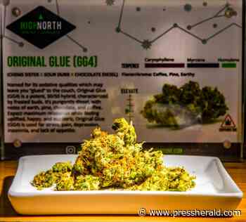 Maine appeals ruling that allows out-of-state sellers of medical cannabis - Press Herald