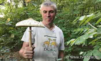 Diese Menschen flüchten trotz Radioaktivität nach Tschernobyl - TV Digital