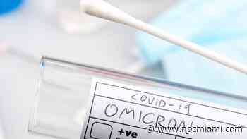 COVID-19 Testing: Miami Doctors Explain Best Practices for At-Home, PCR Tests