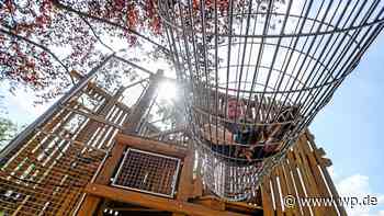 Siegen: Neuer Schlosspark-Spielplatz wird etwas inklusiver - Westfalenpost