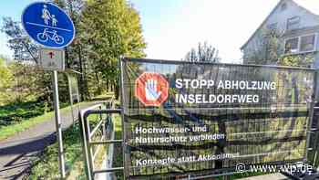 Siegen: Siegdeich Niederschelden – zunächst fallen 30 Bäume - Westfalenpost