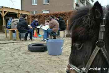 Inclusiecampus steekt provinciale subsidie in groene schoolomgeving en weide voor knuffelpony's Paula en Colet - Het Nieuwsblad