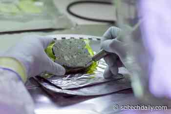 How Ancient Human and Animal DNA Is Preserved in Archaeological Sediments for Thousands of Years