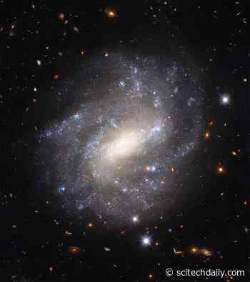Lonely Spiral Captured by Hubble Used To Construct “Cosmic Distance Ladder”