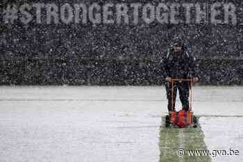 RWDM - Westerlo uitgesteld door sneeuwval, Kemphanen trainen dan maar in Neerpede - Gazet van Antwerpen