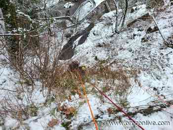 Hiker clinging to tree root atop Multnomah Falls trail cliff is rescued - OregonLive