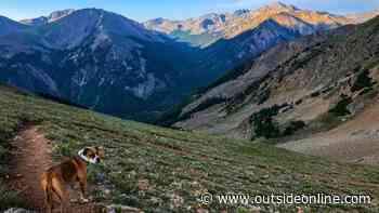 This Year, I Hiked Every Trail in My Backyard - Outside