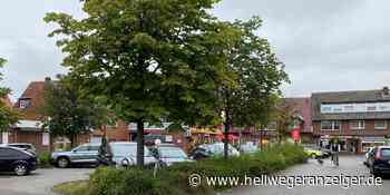 Firma prüft Standsicherheit der Bäume in Ascheberg, Davensberg und Herbern | Ascheberg - Hellweger Anzeiger