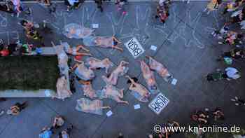 Femizide in Deutschland: Kritik an fehlendem Konzept zum Schutz gefährdeter Frauen