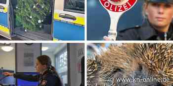 Die skurrilsten Polizeimeldungen im Jahr 2021