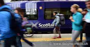 Ayrshire MSP reckons transport investment is good news for region's towns and environment - Daily Record