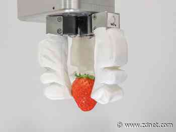 Singapore engineers build robotic fingers with delicate grip