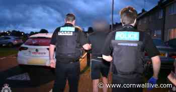 Some of the last criminals sentenced in Cornwall before Christmas - Cornwall Live