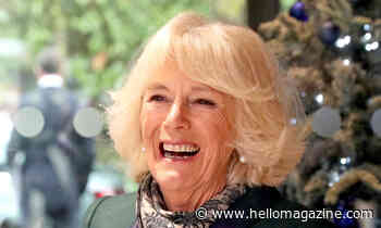 Duchess of Cornwall chooses unexpected Christmas photo to thank royal fans - HELLO!