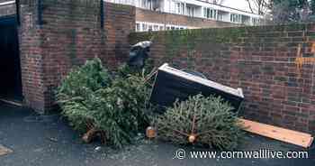 When Christmas rubbish and recycling will be collected in Cornwall and how to dispose of your Christmas tree - Cornwall Live