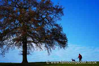 Five idyllic Boxing Day walks in Cornwall - Falmouth Packet