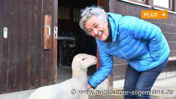 Tiergestützte Therapie: Paulihof sorgt sich um seine Zukunft - Augsburger Allgemeine