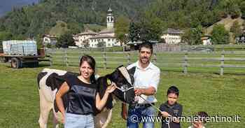Marco Oradini: “Io e la mia grande famiglia di allevatori: una vita fra mandria e agritur” - Trentino